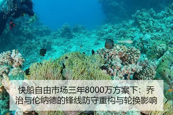 kuai-chuan-zi-you-shi-chang-san-nian-wan-fang-an-xia-qiao-zhi-yu-lun-na-de-de-feng-xian-fang-shou-zhong-gou-yu-lun-huan-2-462.jpg