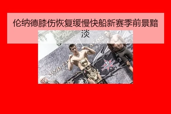 lun-na-de-xi-shang-hui-fu-huan-man-kuai-chuan-xin-sai-ji-qian-jing-an-dan-2-346.jpg