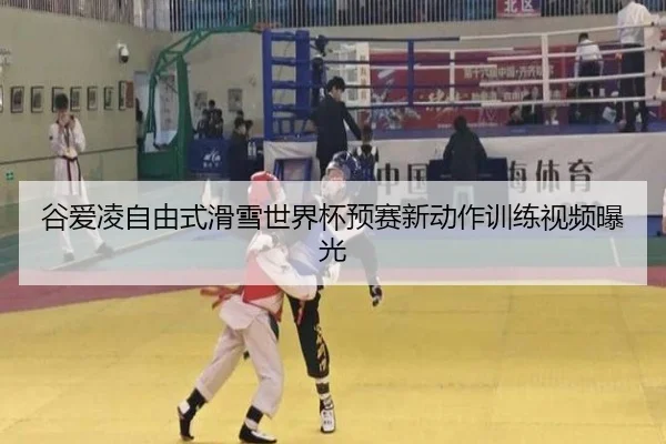 gu-ai-ling-zi-you-shi-hua-xue-shi-jie-bei-yu-sai-xin-dong-zuo-xun-lian-shi-pin-bao-guang-2-185.jpg