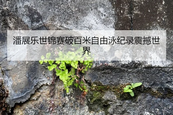 潘展乐世锦赛破百米自由泳纪录震撼世界